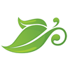 Eco_Strat_leaf